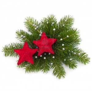 org_42761_christmas-decoration2